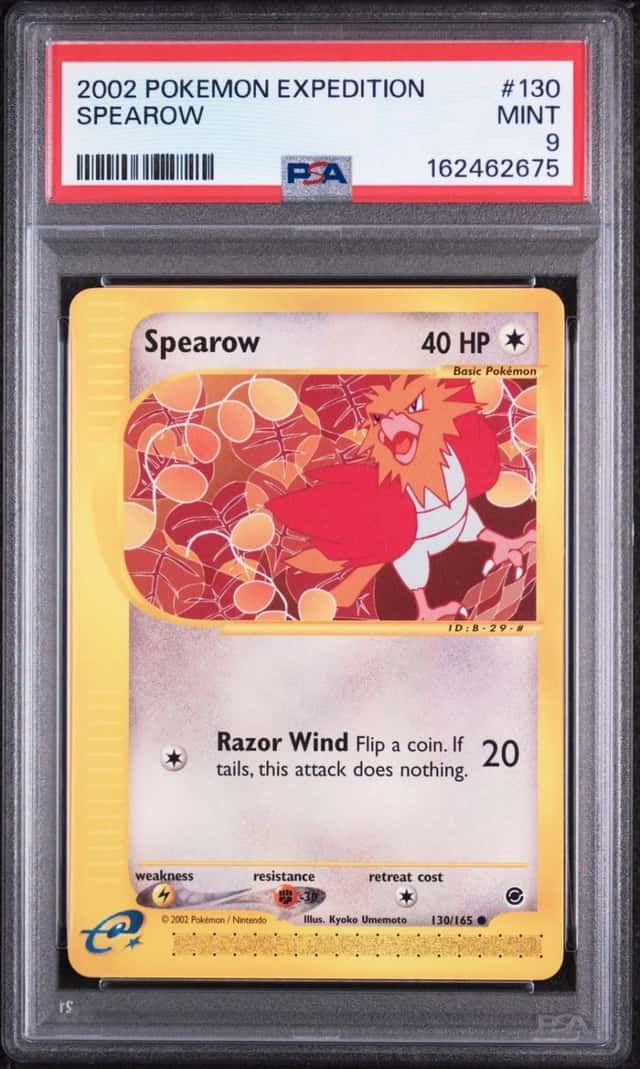 Spearow