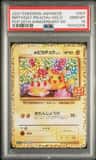 _____'S Pikachu