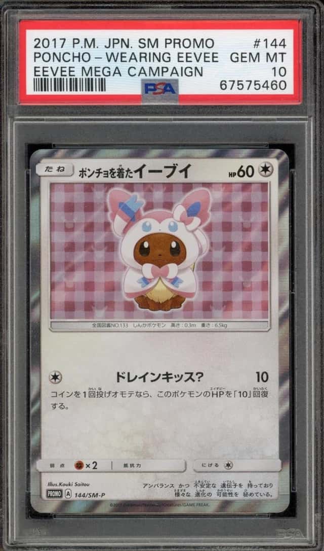 Poncho-Wearing Eevee