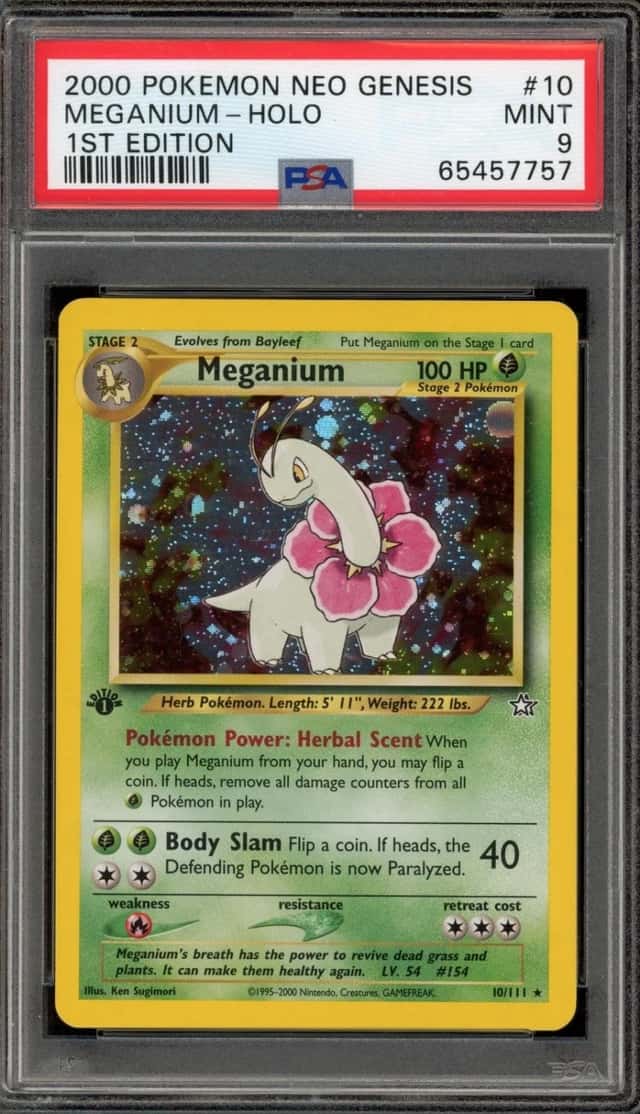 Meganium