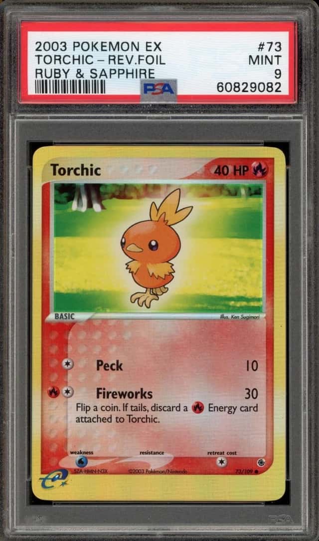 Torchic