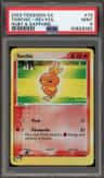 Torchic
