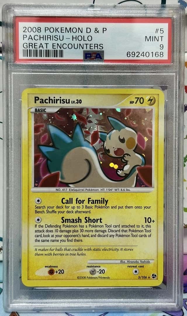 Pachirisu