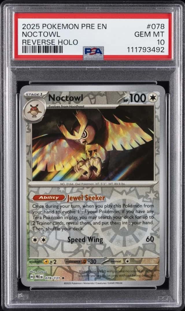 Noctowl