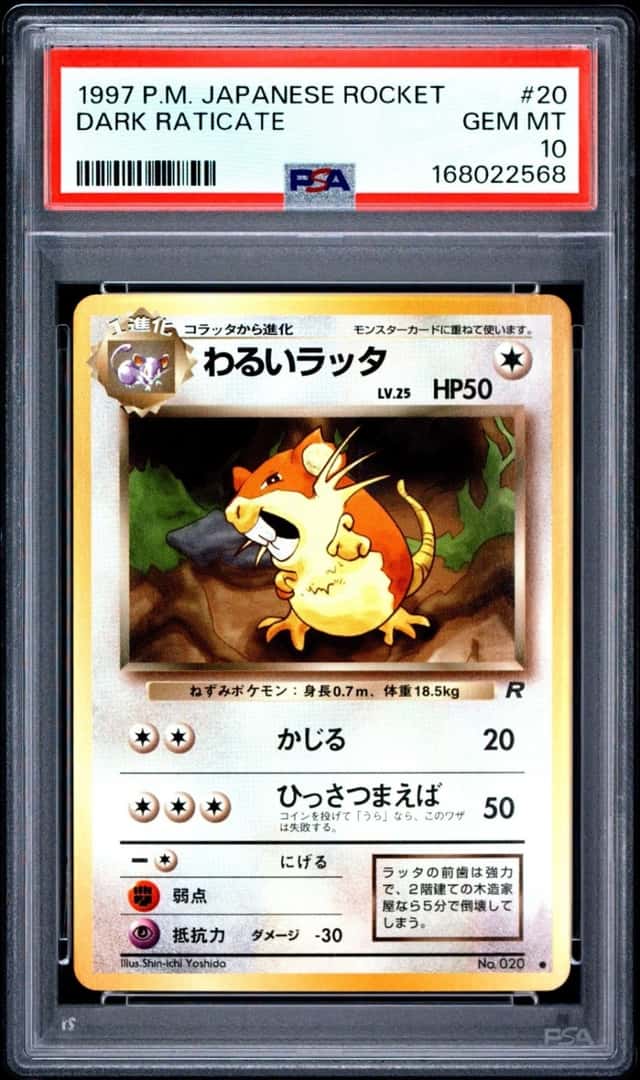 Dark Raticate