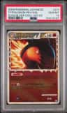 Typhlosion