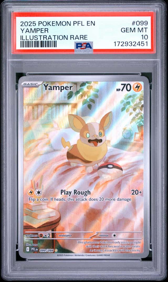 Yamper