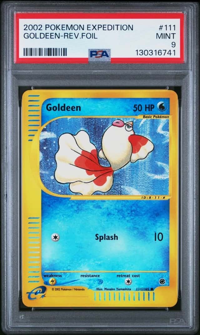 Goldeen