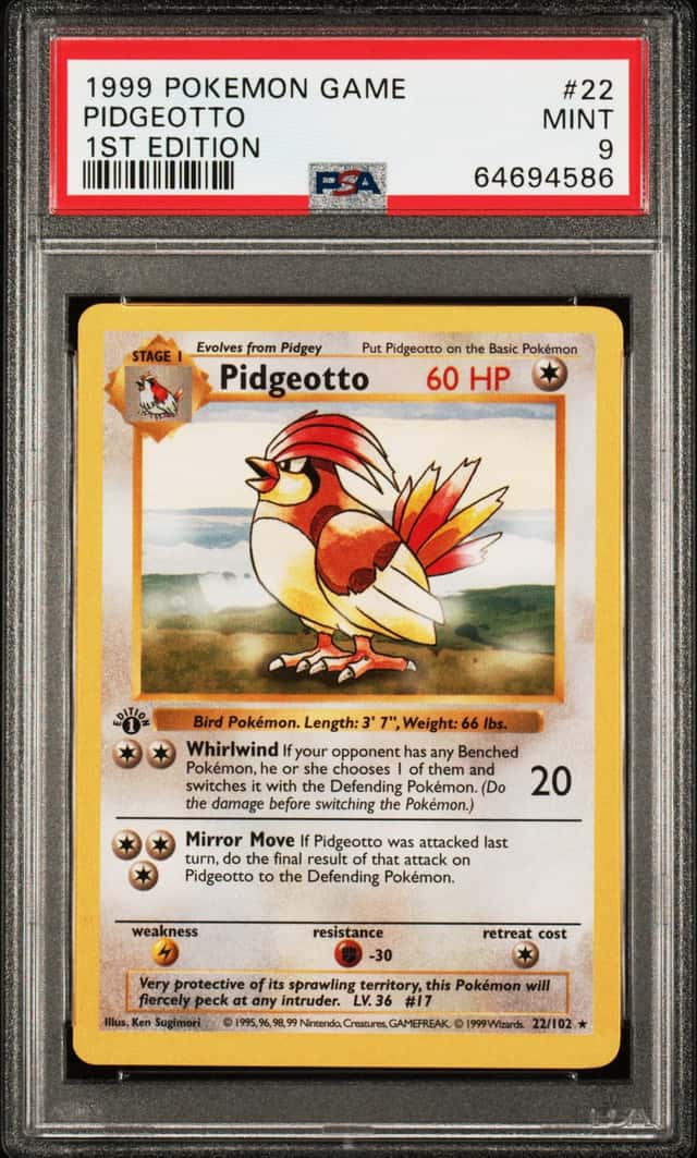 Pidgeotto