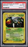 Beedrill