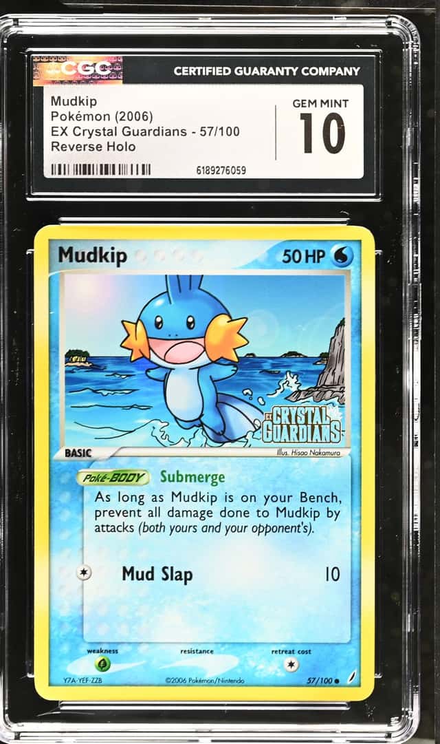 Mudkip