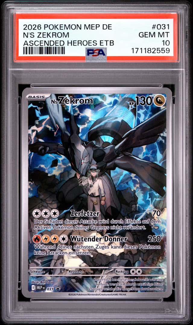 N's Zekrom