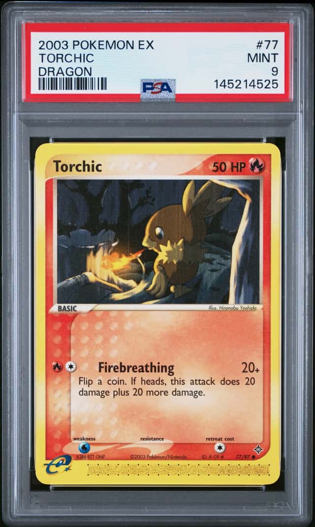 Torchic