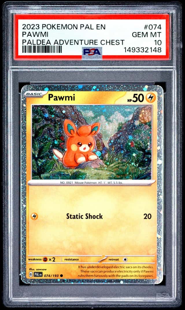 Pawmi