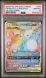 Raichu & Alolan Raichu Gx