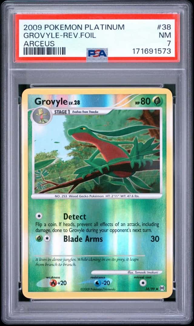 Grovyle