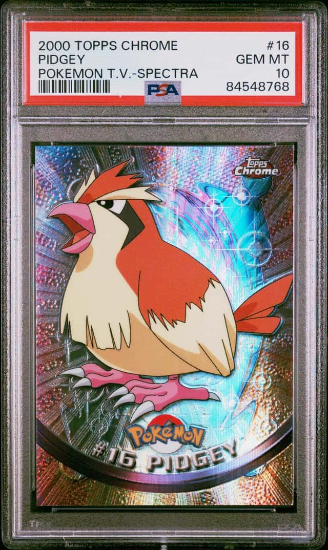 Pidgey