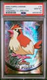 Pidgey