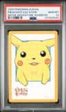 Pikachu'S Vacation