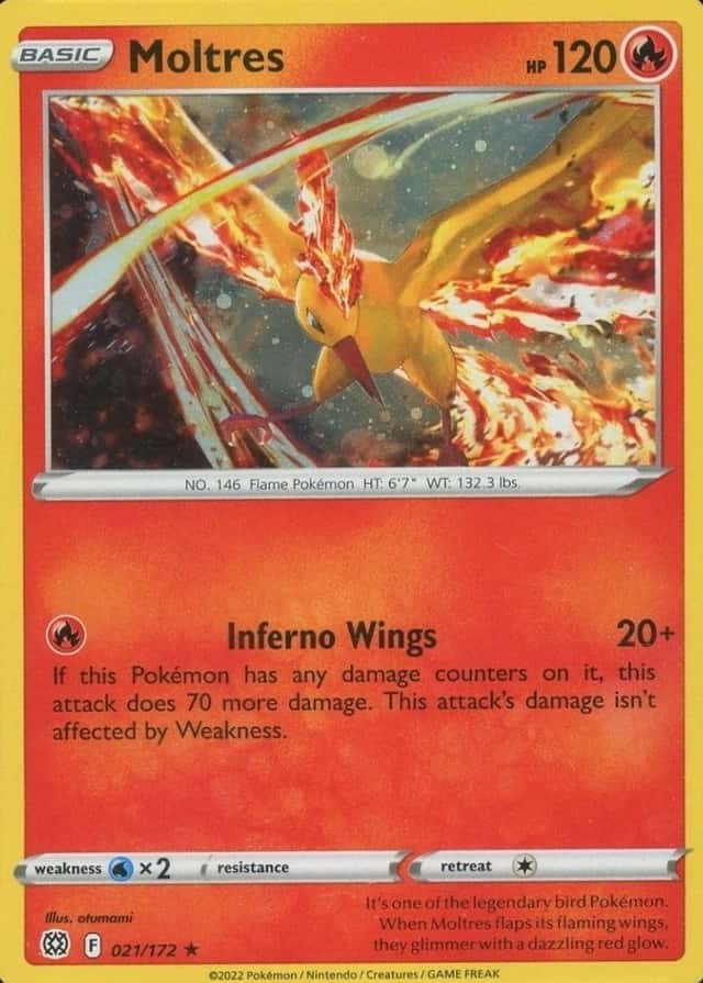Base / no variant