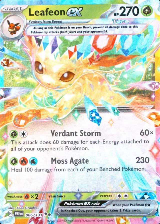Holo