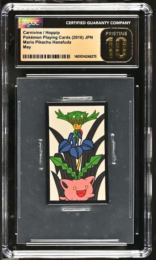 Carnivine / Hoppip