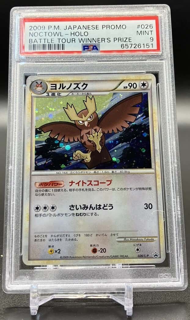 Noctowl