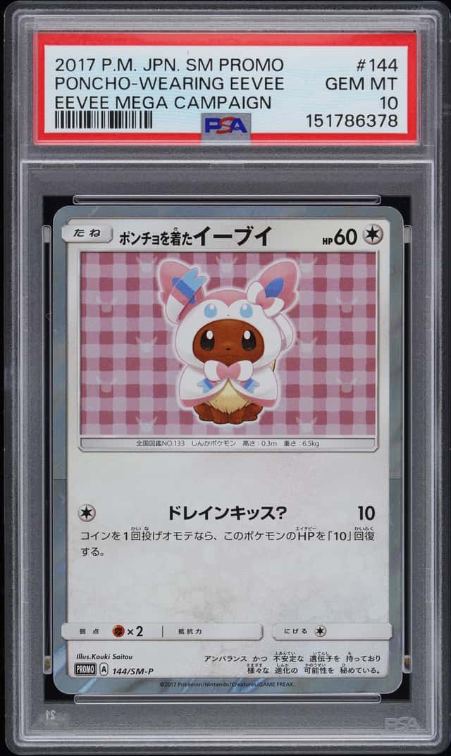 Poncho-Wearing Eevee