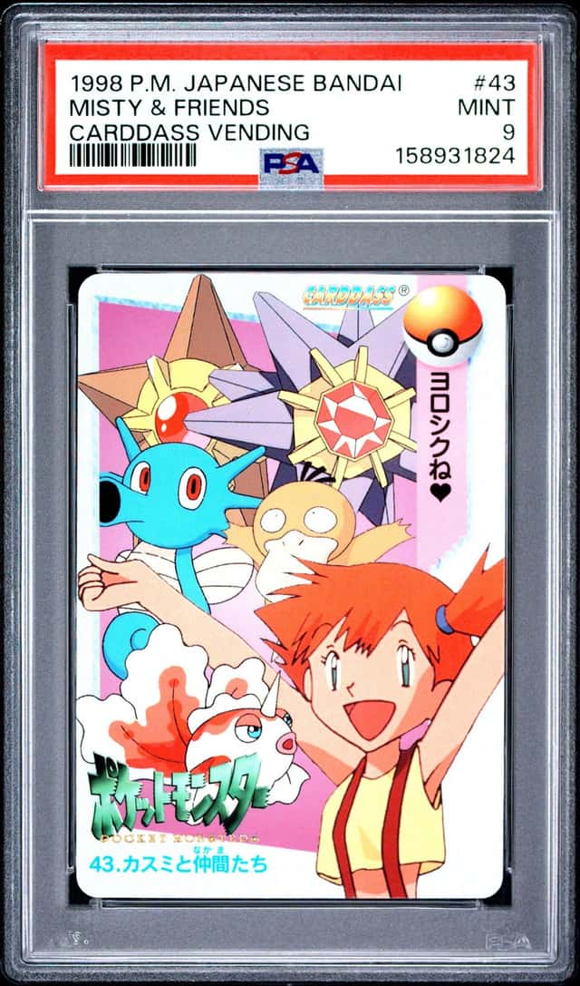 Misty & Friends