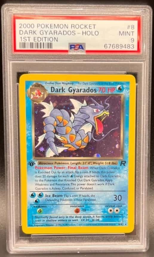 Dark Gyarados