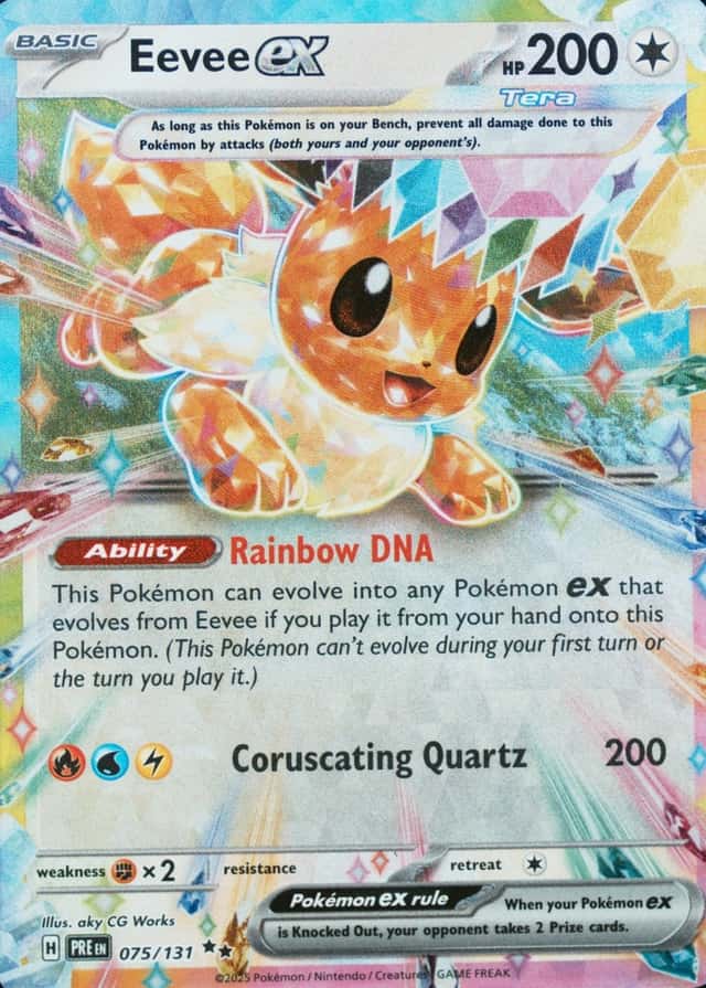 Holo