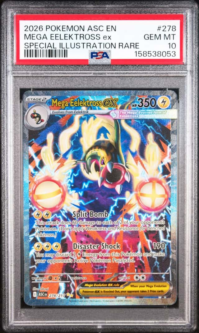 MEGA EELEKTROSS ex
