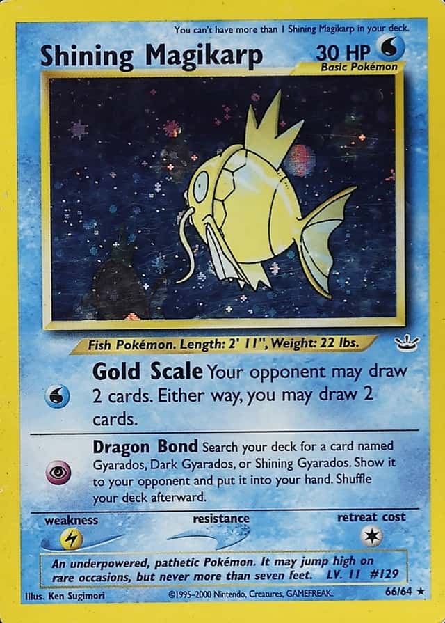 Double Holo · Error