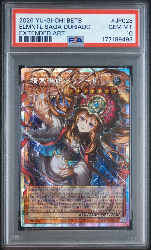 ELMNTL SAGA DORIADO
