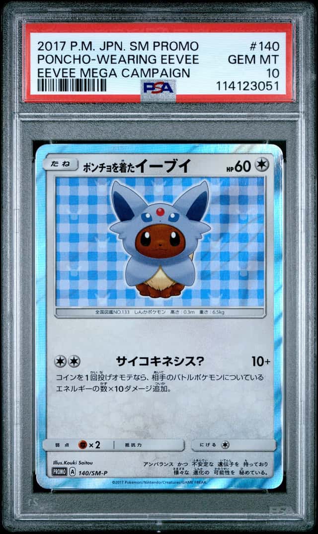 Poncho-Wearing Eevee