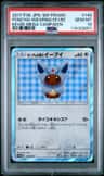 Poncho-Wearing Eevee