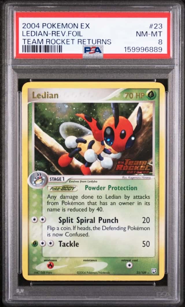 Ledian
