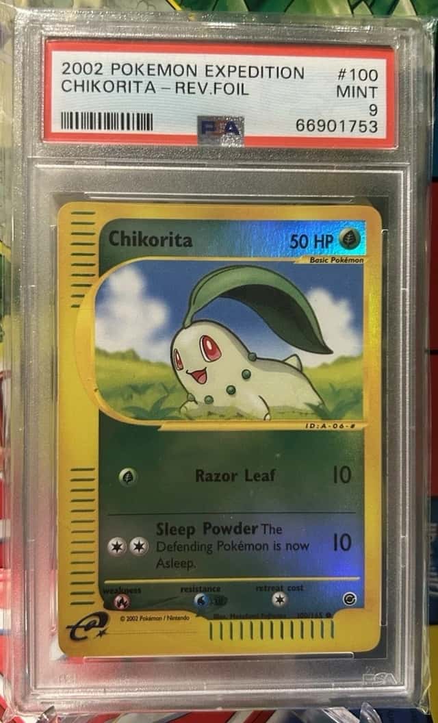Chikorita