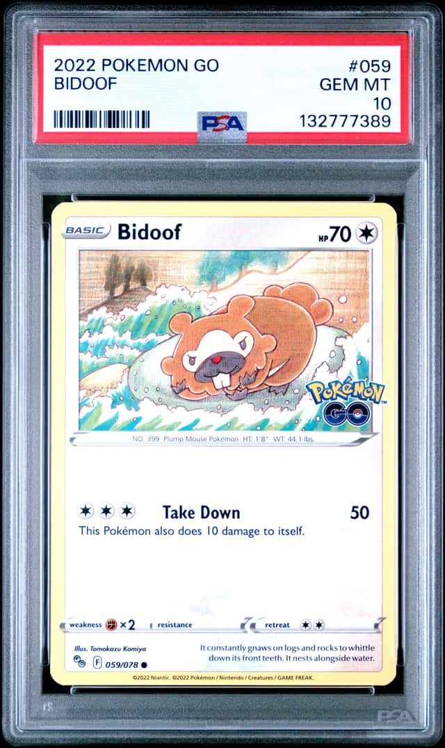Bidoof