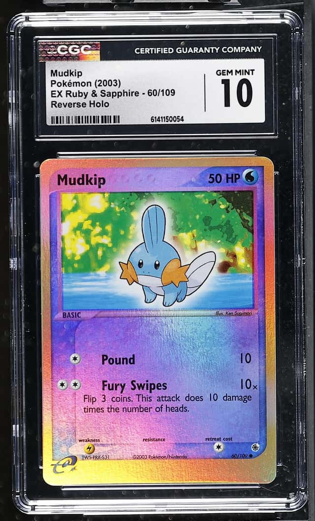 Mudkip