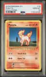 Ponyta