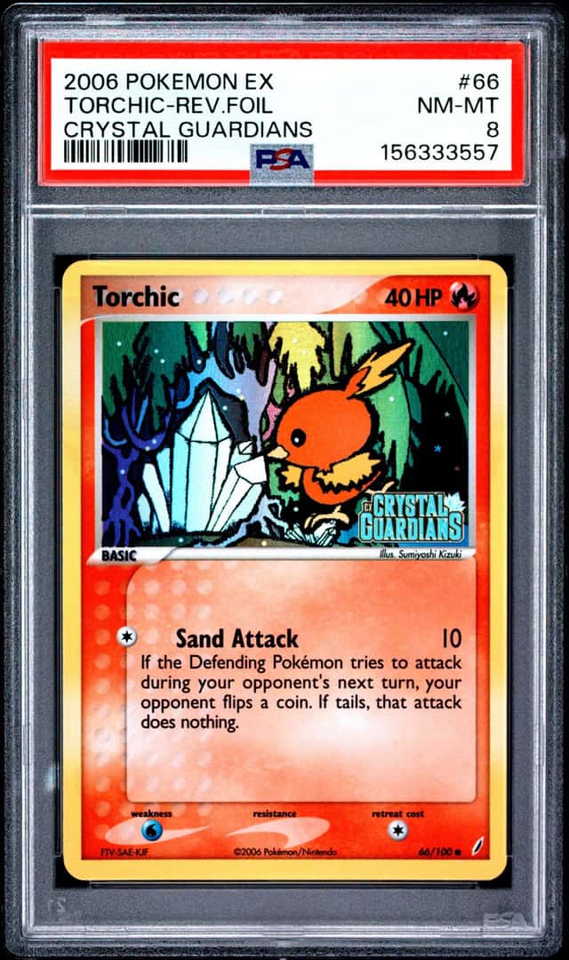 Torchic