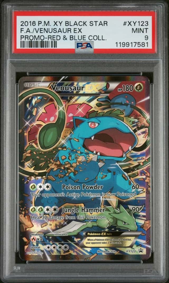 Venusaur EX