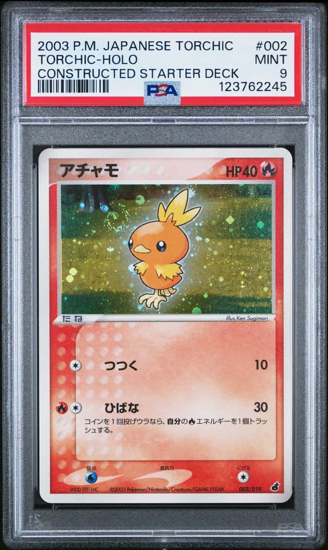 Torchic