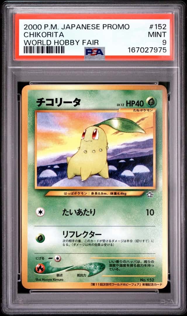 Chikorita
