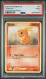 Torchic