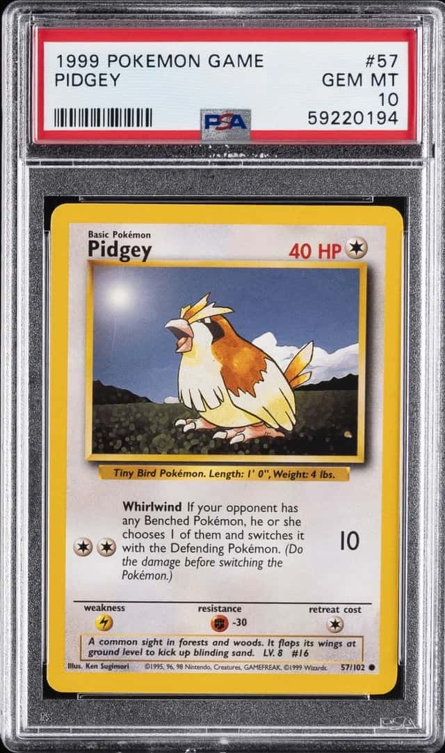 Pidgey