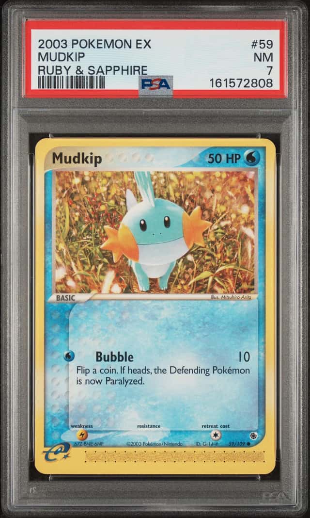 Mudkip