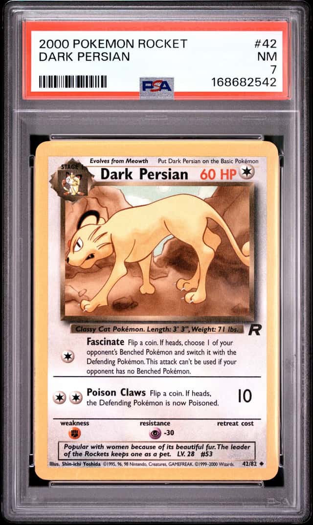 Dark Persian