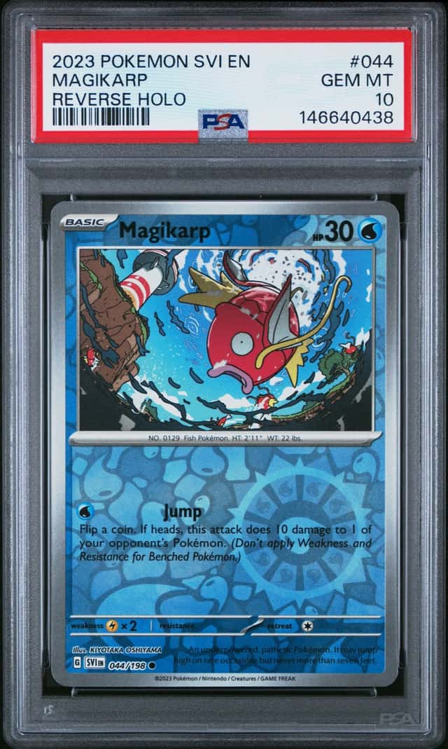 Magikarp